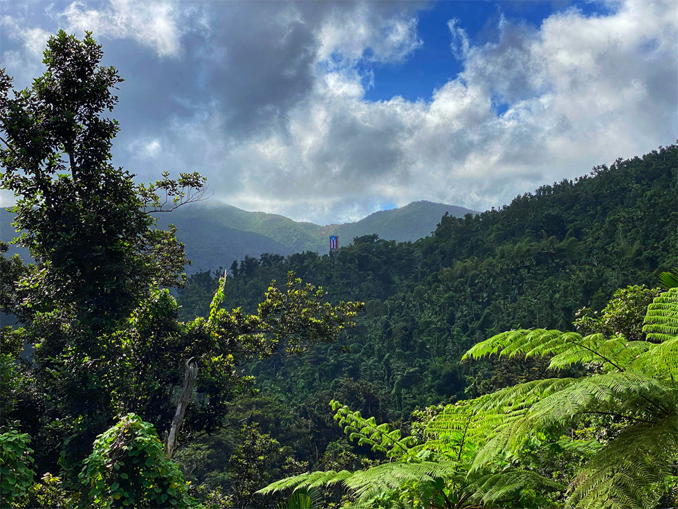 雲蓋國家森林（980）