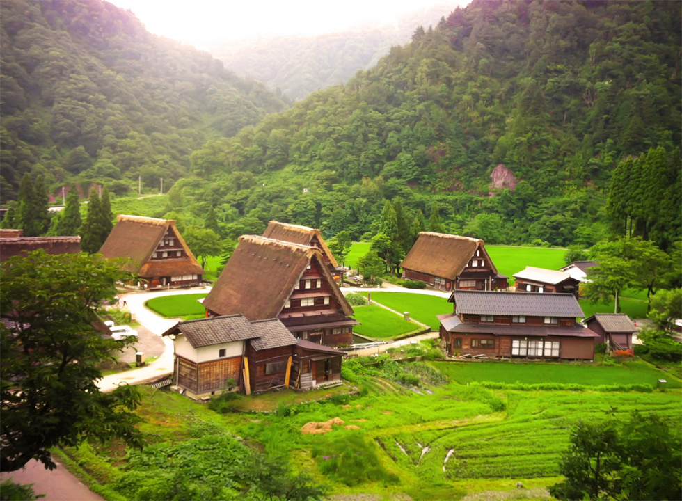 白川鄉合掌村（980）