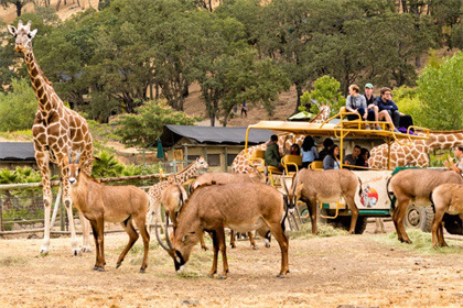 比鄰斯堡野生動物園