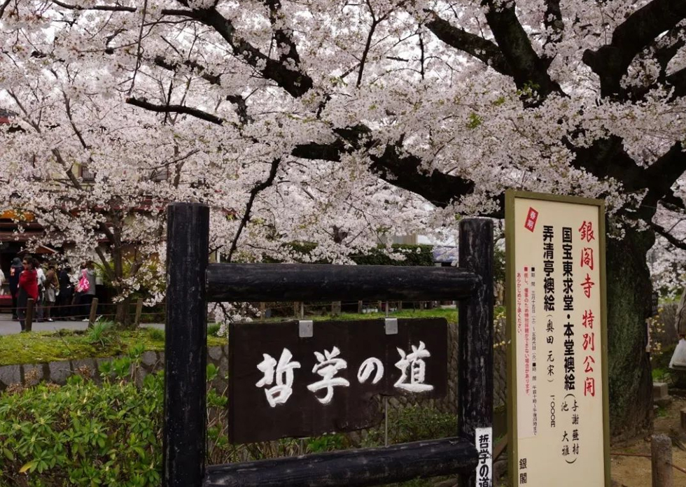 日本哲學之道 日本哲學之道