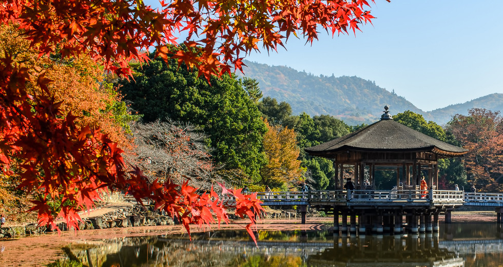 奈良公園