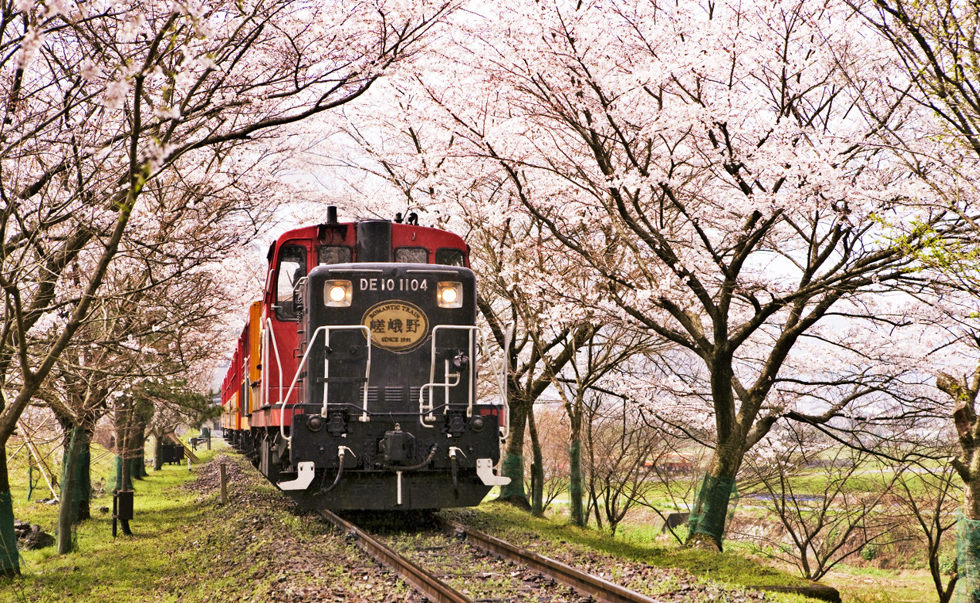嵯峨野小火車 嵯峨野小火車
