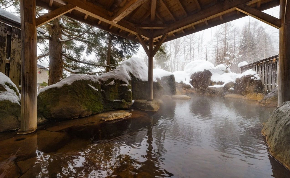 日歸溫泉泡湯