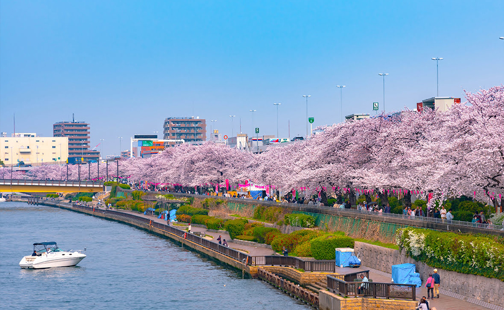 隅田公園