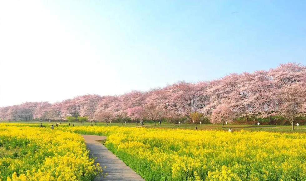 幸手權現堂公園