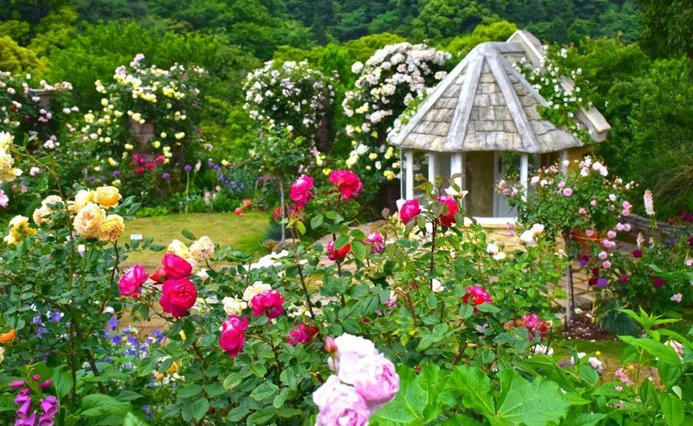 熱海香草玫瑰園