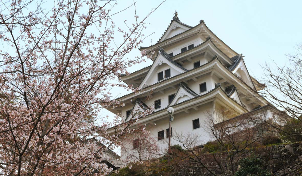 郡上八幡城 郡上八幡城