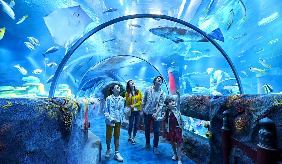 沖繩美麗海水族館 沖繩美麗海水族館