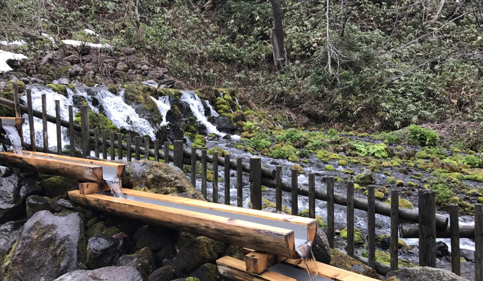 羊蹄山名水公園2 羊蹄山名水公園2
