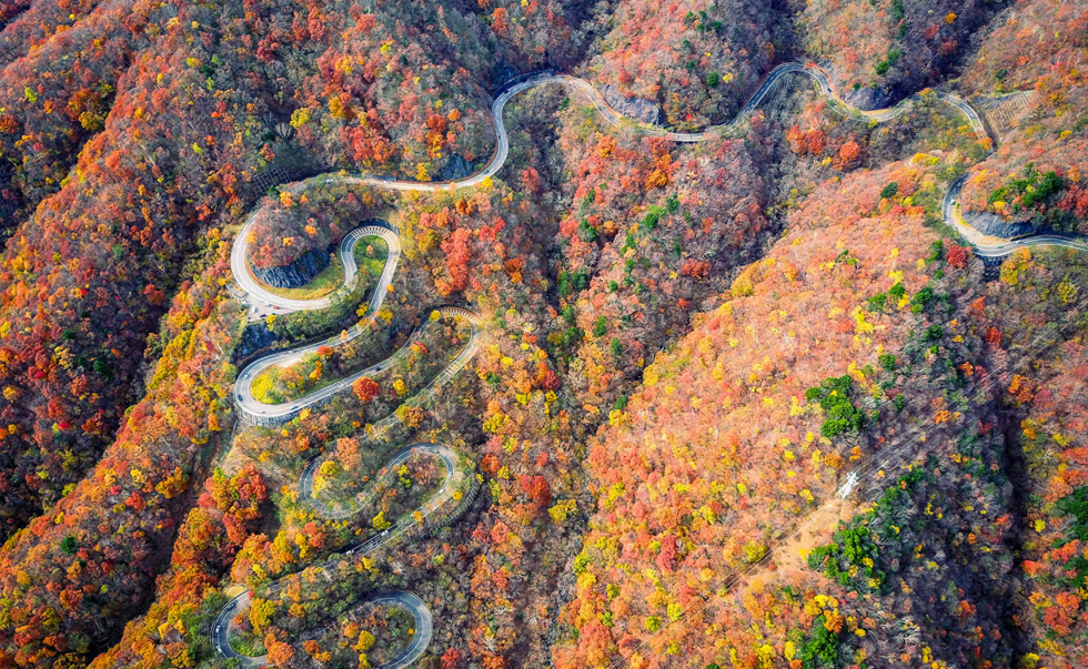 伊呂波山道 伊呂波山道
