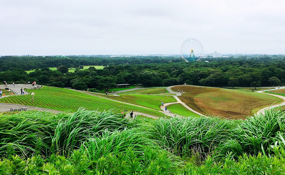國營常陸海濱公園2 國營常陸海濱公園2