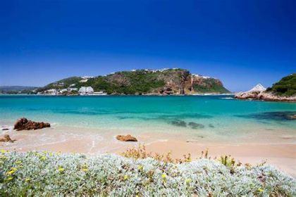 奈斯納（Knysna1